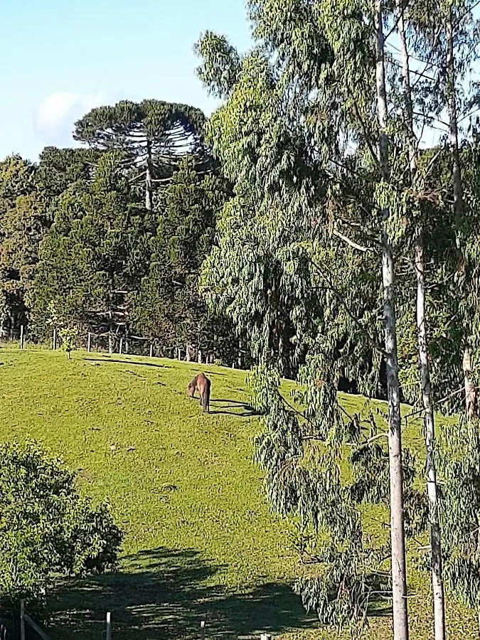 Chácara Quedinha D'Água Casa de hóspedes Campo Alegre  Brasil