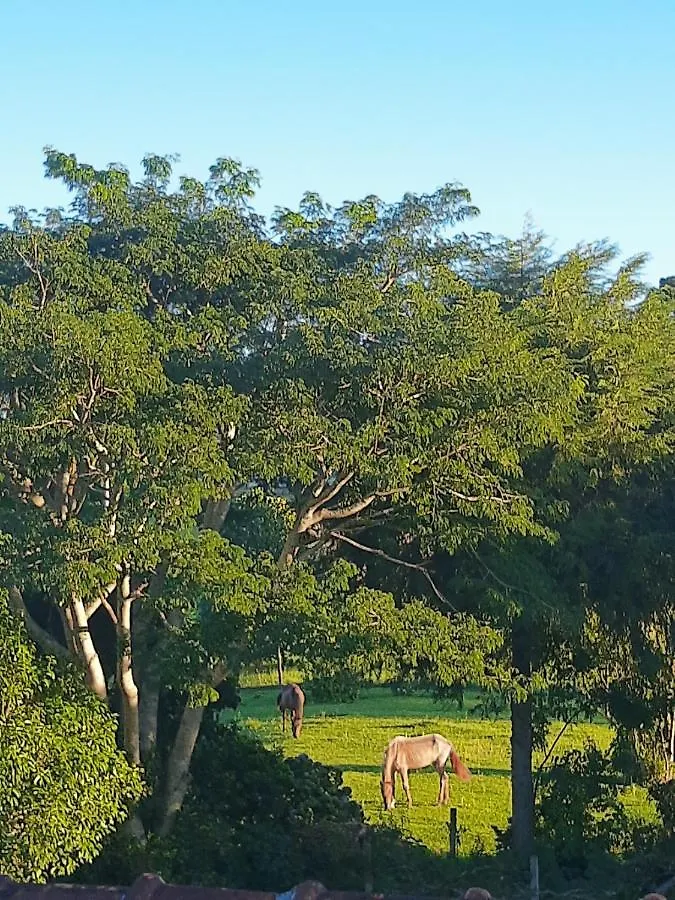 Chácara Quedinha D'Água Casa de hóspedes Campo Alegre  Casa de Campo Campo Alegre (Santa Catarina)