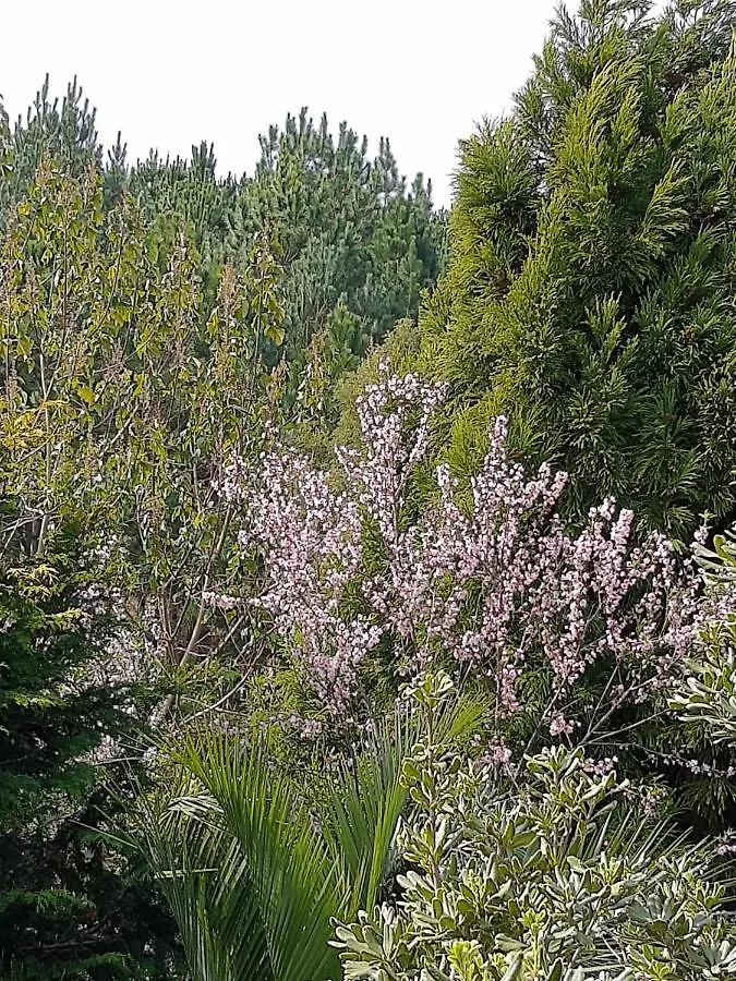Country house Chacara Quedinha D'Agua Guest House Campo Alegre